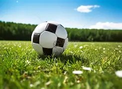 吉林队希尔,注册成功,不再算作全,万博manbetx体育,万博max官网,万博体育平台,万博体育app下载