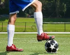 许鞍华宣布,张爱玲作品,将不再执导,万博manbetx体育,万博max官网,万博体育平台,万博体育app下载